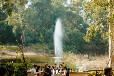 טראנסמיט | היער הסודי | נופש חברה  | חגי מגידו