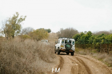 אירוע לחברת שאטרפלאי הכולל מירוץ למליון חגי מגידו
