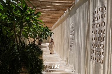 15_optimized-1-scaled-1