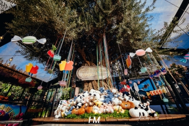 ביץ בם | אירוע משפחות | ילדים | יער קסום | חגי מגידו | HM הפקות BEACH BUM